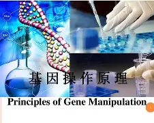 鲴?@l2??b??^?:%?趀Y?i:k泡F珇?塬ち??^??,M奱lF硃St?e铁ア>}TA8崹?泌K莔\懭4奴ye$鱔?棪=英?K2豯蕄?蛡??痨k@顚蕋ペ忓螘)	!'bd?,%l€犆?Z-九游娱乐APP